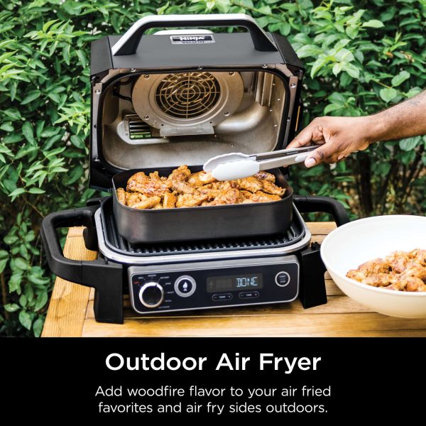 Woodfire 7-in-1 Outdoor Grill and Smoker 1760-Watt Grey Electric Grill - Image 5
