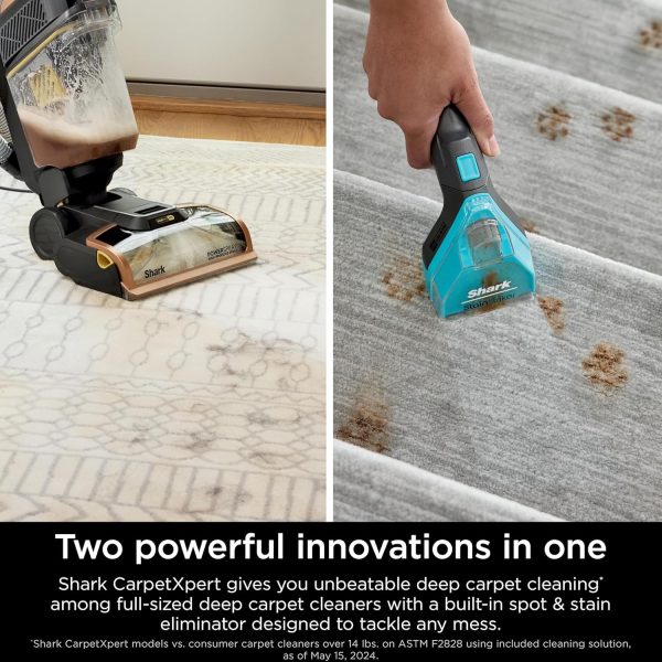 Upright Carpet Cleaner Machine, CarpetXpert HairPro, EX301 - Image 2