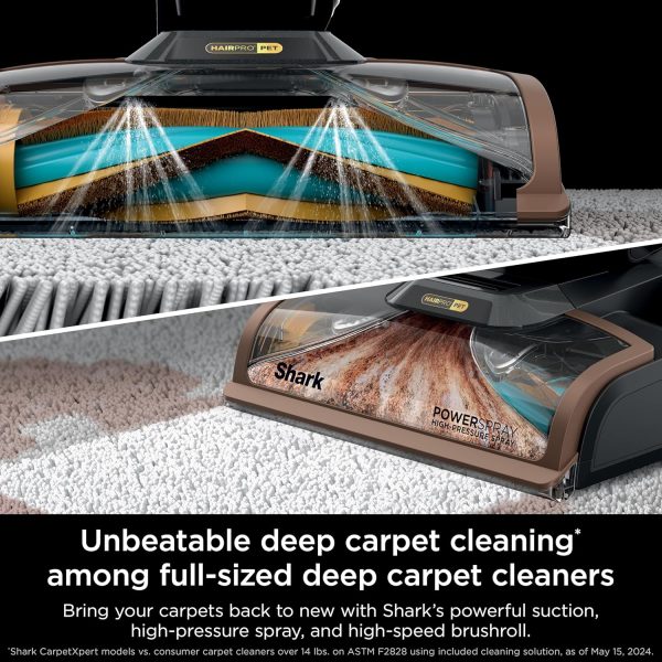 Upright Carpet Cleaner Machine, CarpetXpert HairPro, EX301 - Image 3