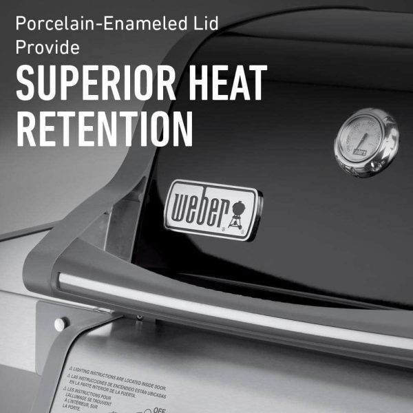 46110001 Spirit E-210 2-Burner Liquid Propane Gas Grill in Black with Built-In Thermometer - Image 6