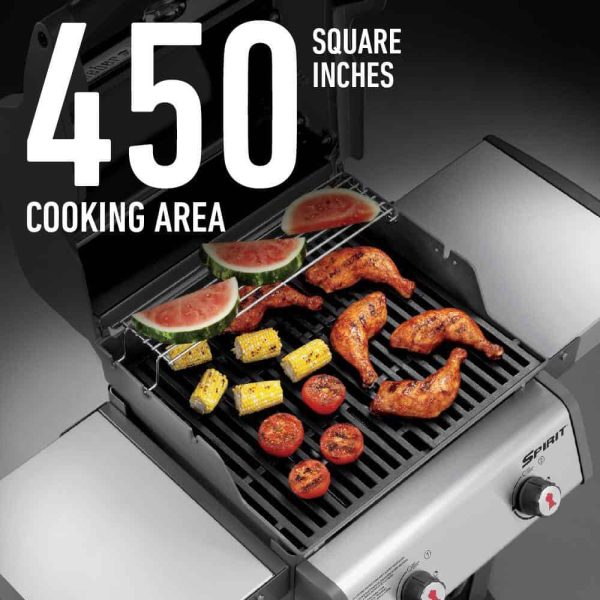 46110001 Spirit E-210 2-Burner Liquid Propane Gas Grill in Black with Built-In Thermometer - Image 13
